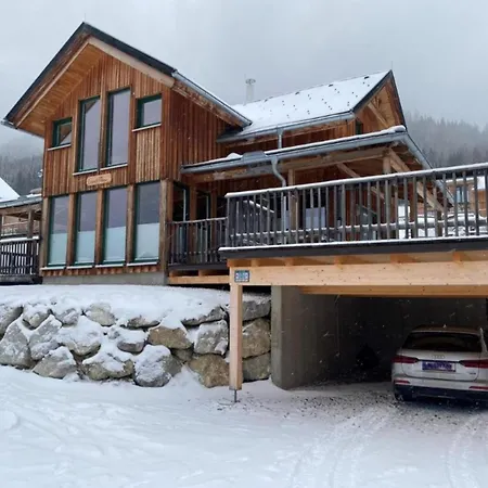 The Laerch Chalet Hohentauern